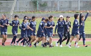 練習に汗を流す新潟Lの選手たち=沖縄県南城市(新潟L提供)