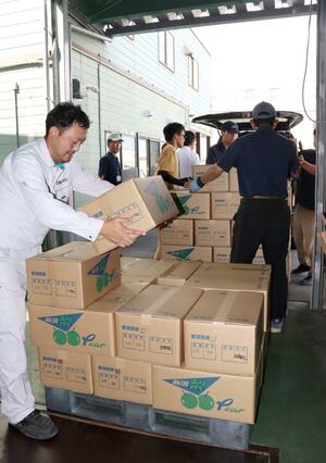 香港に輸出するため、収穫した「二十世紀」を次々に運び込む若手ナシ農家ら=新潟市江南区曙町3
