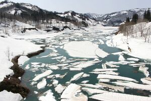 雪の塊が流氷のように浮かぶ「雪流れ」=4月8日、魚沼市大白川