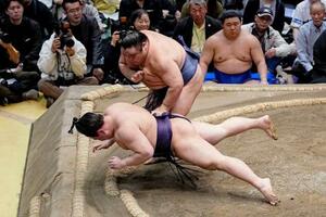 藤凌駕(上)がすくい投げで義ノ富士を破る=両国国技館