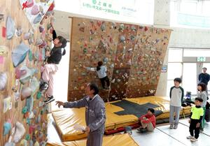 スポーツクライミング体験会で壁を登る参加者＝２９日、上越市柿崎区の柿崎総合体育館