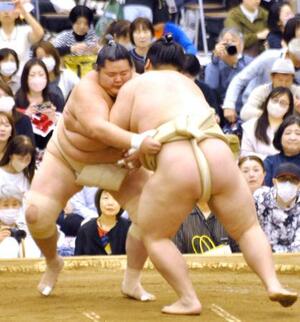 　大相撲春巡業の朝稽古で相撲を取る琴桜（左）＝埼玉県所沢市