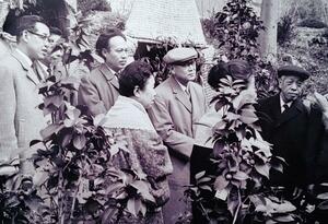 昭和40年代、京都市にある武田薬品工業のツバキ園を訪ねた坂口謹一郎博士(中央の帽子と眼鏡の男性)。左が陶芸家の斎藤三郎さん=上越市の斎藤尚明さん提供