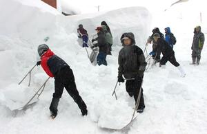 除雪のボランティアに励む塩沢中野球部員=2月8日、南魚沼市栃窪