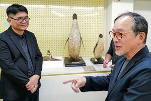 　剥製と対面し意見交換する佐藤豊弘さん（右）と国立台湾博物館の陳登欽館長＝２９日、台北市（共同）