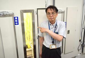 農研機構の「ロボティクス人工気象室」で、今世紀末を模した環境で栽培中のイネを示す米丸淳一ラボ長=2025年8月、茨城県つくば市