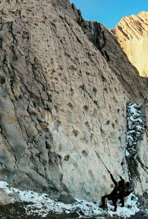 　イタリア北部で見つかった恐竜の足跡（エリオ・デッラ・フェッレラ／Ａｒｃｈ．ＰａｌｅｏＳｔｅｌｖｉｏ提供・共同）