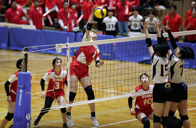 女子決勝 新発田商-長岡商 強打を放つ新発田商の伊藤萌(1)=小千谷市総合体育館