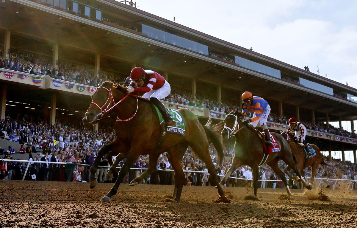 img_2914aa3c1c7652a9da0ad2298a