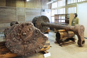 防さび処理を終え、一般公開される順動丸の鉄製車軸=長岡市寺泊地域