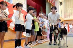 卒業式でヤギ「ゆきなちゃん」との別れを惜しむ行谷小の児童=佐渡市新穂正明寺