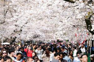 　東京・上野公園で満開となった桜を楽しむ人たち＝２８日午後