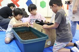 「段ボールコンポスト」を活用し、生ごみからできた堆肥で野菜作りをする根岸保育園の園児たち=新潟市南区根岸