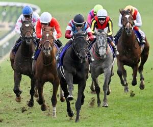 第42回ホープフルSを制した松山弘平騎乗のロブチェン(中央)=中山競馬場