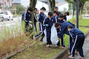 コスモスが咲く道路脇の花壇で、ごみを拾う京ケ瀬中の生徒ら=10月11日、阿賀野市京ケ瀬地区