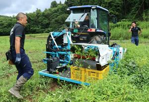 生産者らに公開した来春発売予定のミツワの枝豆収穫機=柏崎市西山町尾野内
