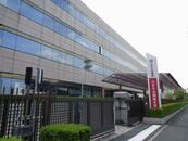 「年金、手続きしないと止まる」