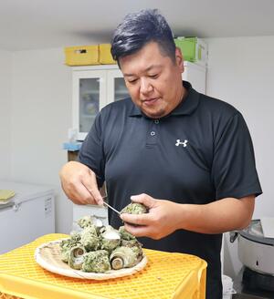 柏崎市鯨波沖で採れたサザエの加工作業をする中村伸哉さん=柏崎市東の輪町