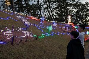 一新したイルミネーションで彩られた鵜の浜温泉の自然公園=上越市大潟区九戸浜