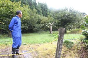 サルやイノシシが来るため栗拾いを中止した今井観光栗園。チェーンを張るなどして一般の人が立ち入れないよう周知している=五泉市刈羽