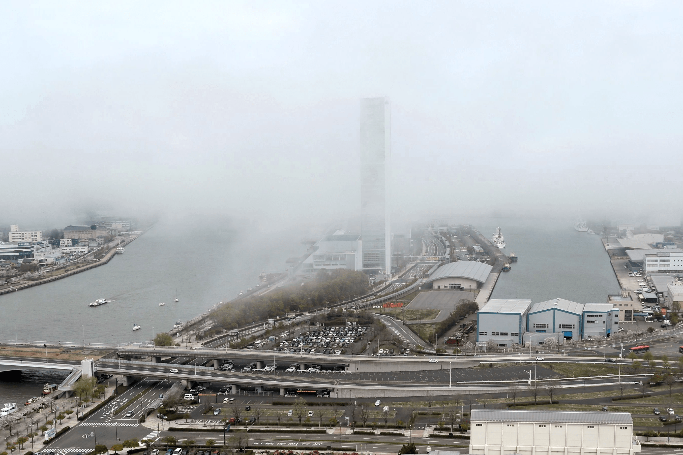 港町が真っ白 不思議な世界に 移流霧 が発生 新潟市 新潟日報デジタルプラス