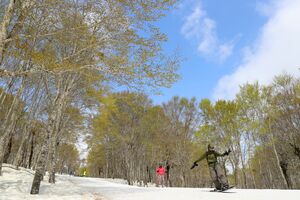 奥只見丸山スキー場で春スキーを楽しむ人たち＝２０２２年５月