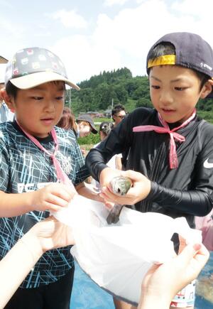 ニジマスのつかみ取りを楽しむ子どもたち=3日、長岡市栃堀