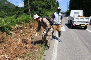 国道252号の沿道でごみ拾いをする参加者=魚沼市穴沢