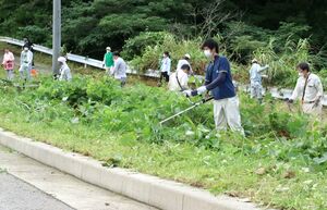 道路脇の草刈りをする参加者＝８月２８日、佐渡市