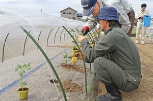 八色スイカの生産拡大に向けて行われた研修会=4月23日、南魚沼市芋赤