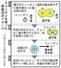 　ミューオンを使った核融合のイメージ