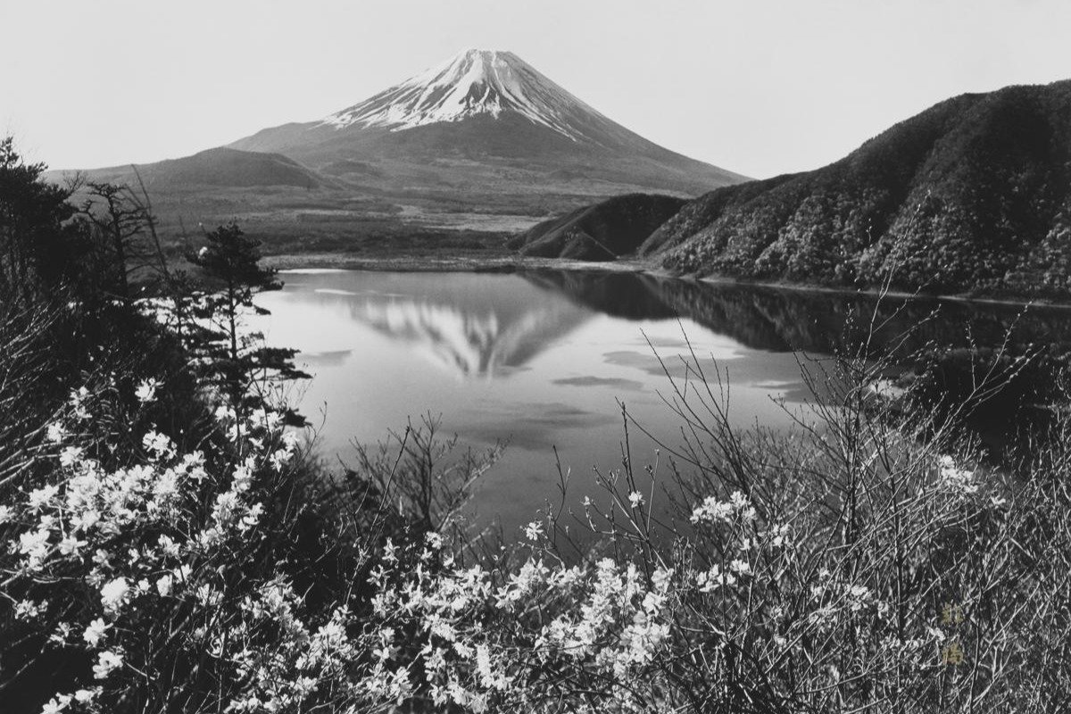 野口英世の1000円札、裏側に新潟ゆかりのデザイン！富士山に心奪