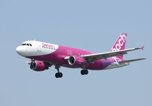 新潟-関西空港を結ぶピーチ・アビエーションの機体=新潟空港