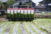 コメ作付け、「需要」上回る…値下がりの可能性も［2026年産主食用米意向調査・農林水産省］