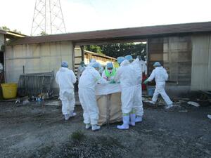 豚熱の感染が確認された養豚場で防疫作業にあたる作業員ら=8月15日、新発田市(新潟県提供)