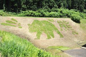 棚田草刈りアート日本選手権大会で制作された作品=20日、南魚沼市栃窪