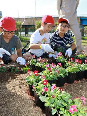 関屋分水路の右岸に花を植え、花文字を作る有明台小の子どもたち=新潟市西区