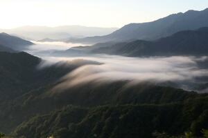 越後駒ケ岳の登山道から撮影した滝雲=2023年8月3日、魚沼市