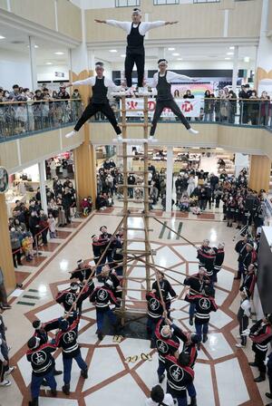伝統のはしご登りを披露する上越市消防団板倉方面隊の団員＝１１日、上越市富岡