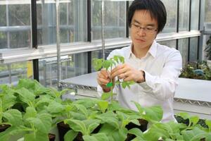 温室で栽培中の植物と野田口理孝さん(本人提供)