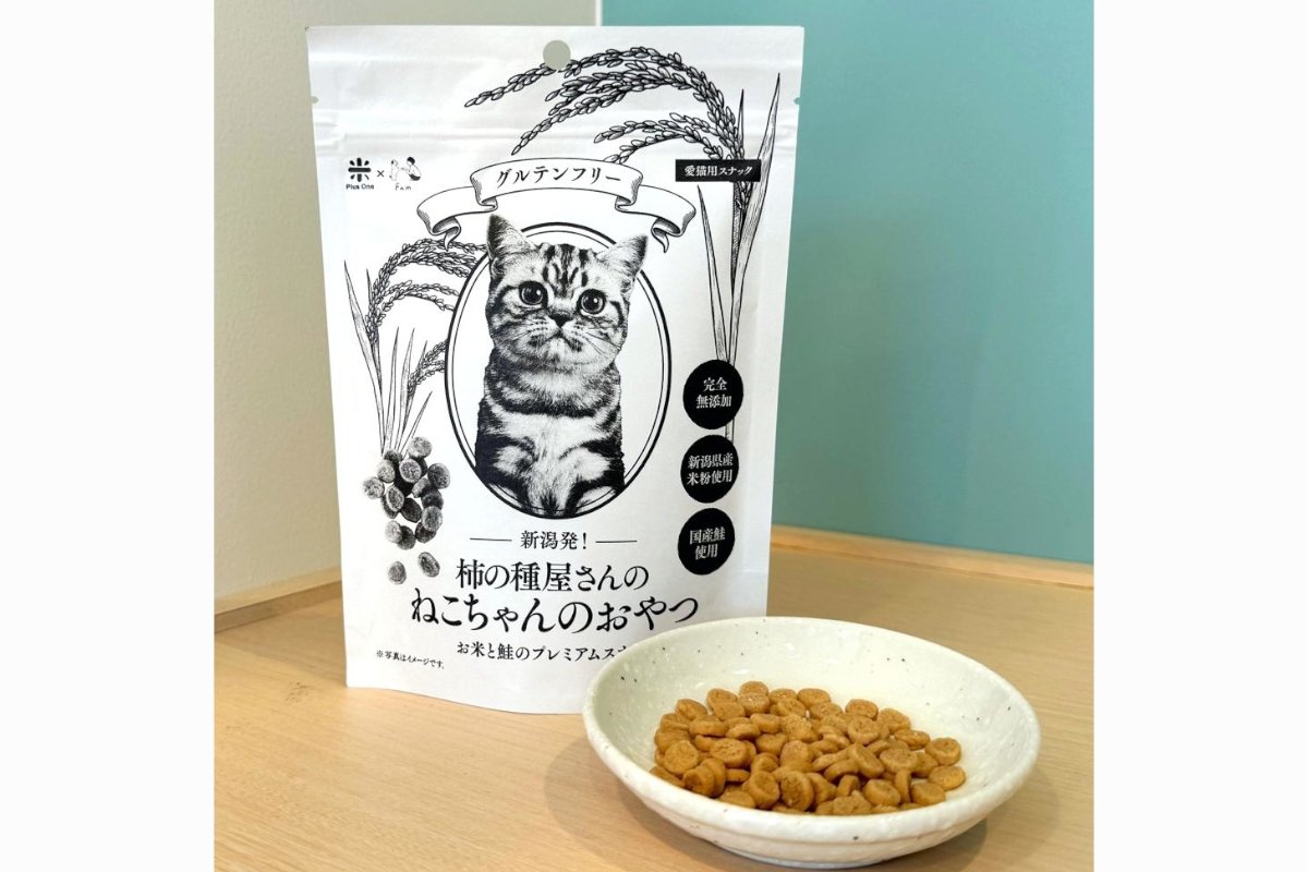 お留守番の猫ちゃんにご褒美を♪ 新潟県産米粉使用の猫用おやつ、阿部