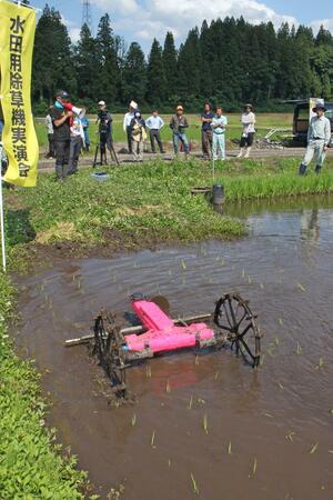 田んぼで除草作業するロボットの動きを確認する参加者＝津南町下船渡