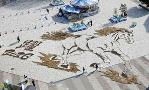 国営ひたち海浜公園で公開されている、来年の干支「午」にちなんだ馬の地上絵。紅葉後のコキアや松ぼっくりなどを使い制作され、園内の大観覧車から迫力ある全貌を見ることができる。公開は来年1月12日まで=13日午後、茨城県ひたちなか市