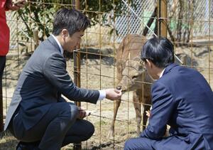 「シカやん」に「鹿せんべい」を与える大阪府の吉村洋文知事（左）と奈良県の山下真知事＝３日午前、大阪府能勢町
