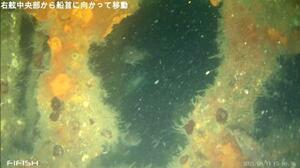 　水中ドローンで撮影された小笠原丸とみられる船体。魚雷で開いたと思われる穴などが確認できた＝１１日、北海道増毛沖（白鳥建設工業提供）