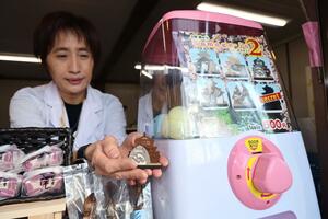 観桜会会場のカプセル玩具で販売している、組み立て式のサメグッズ