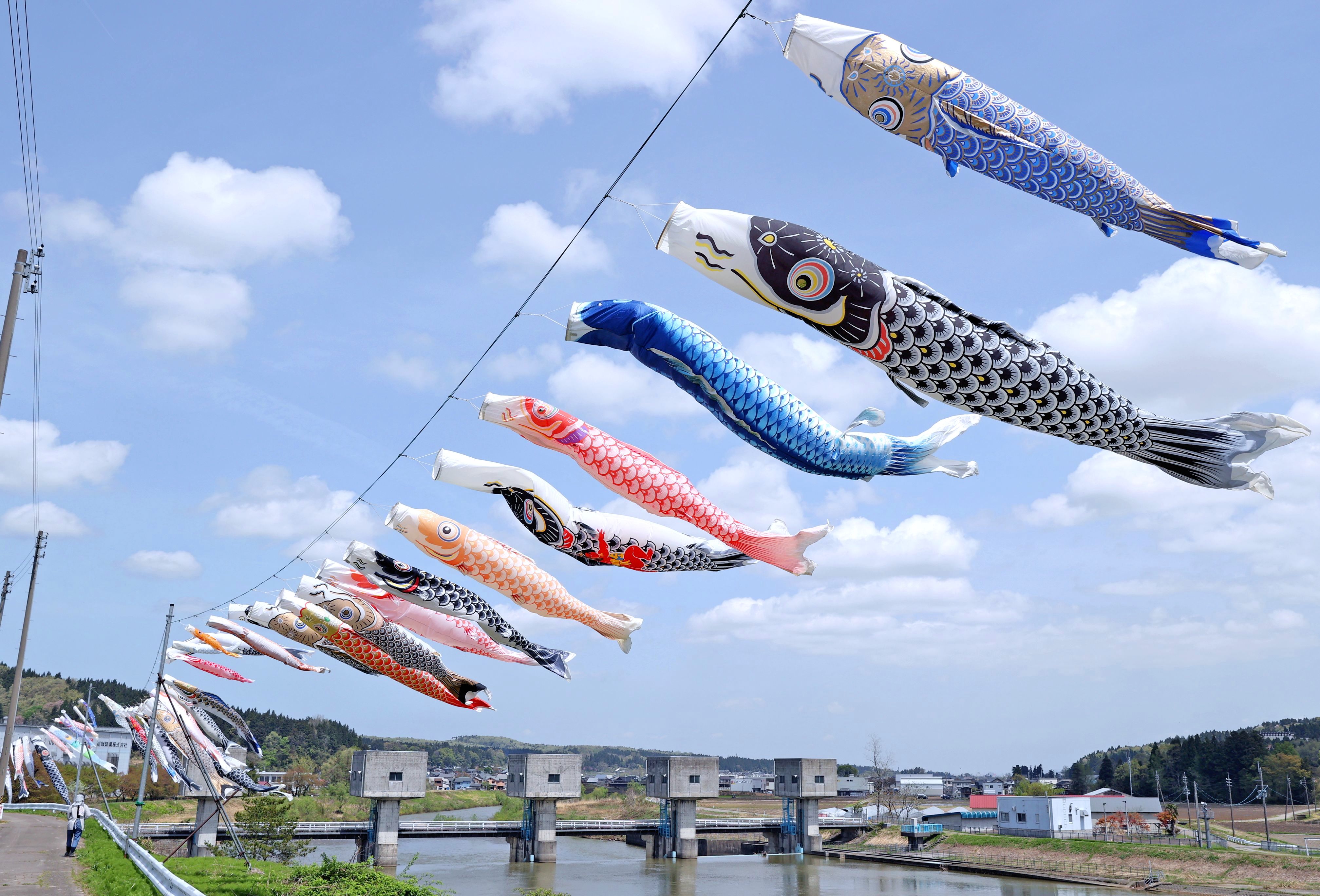 こいのぼり掲げて年 新潟日報デジタルプラス