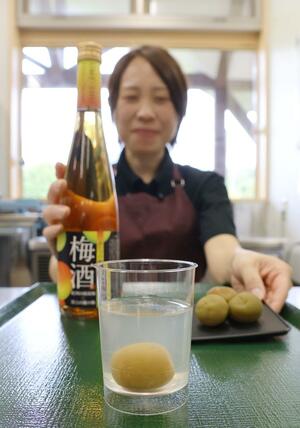 漢学の里しただが作った「福顔酒造の梅ゼリー」=三条市庭月