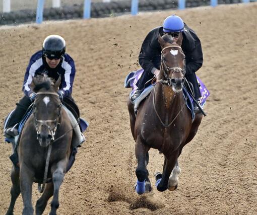 天皇賞・秋の最終追い切りで調整するタスティエーラ(右)=美浦トレーニングセンター