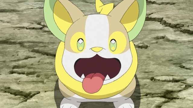 アニメ ポケモン 助けて ワンパチのアニキ パークの問題解決へ 第107話あらすじ 新潟日報デジタルプラス